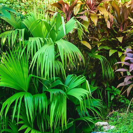 Pousada Jardim Das Bromelias Porto Seguro Luaran gambar