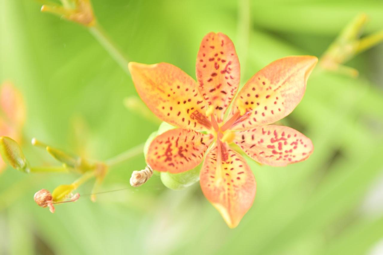 Pousada Jardim Das Bromelias Porto Seguro Luaran gambar